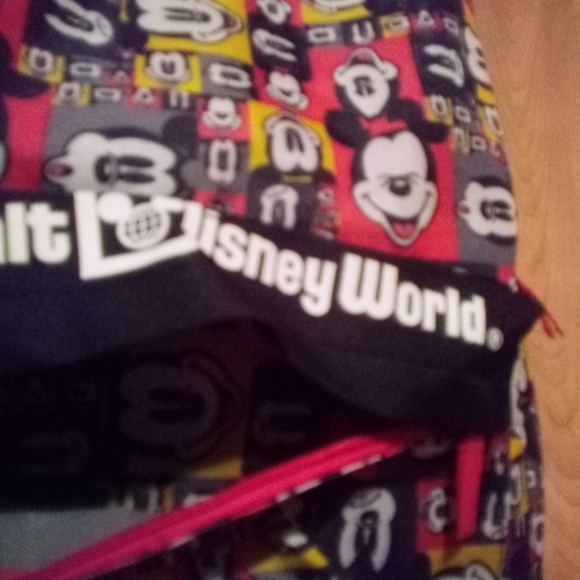 Walt Disney world Disney parks backpack - Picture 8 of 8